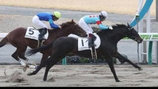 【新馬/中京4R】リノユニヴァースがデビューV！全兄はグレンツェント