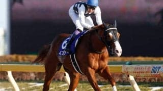 【東海S】武豊騎手予定のインティ、白毛ハヤヤッコなどフルゲートの16頭が登録