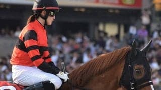 【先週のJRA抹消馬】11歳馬アクションスターが抹消、JRA現役11歳以上馬はカフェリュウジン1頭に