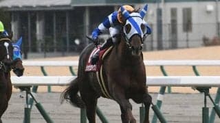【日経新春杯回顧】ショウリュウイクゾ　軽ハンデを味方につけた大金星/栗山求コラム