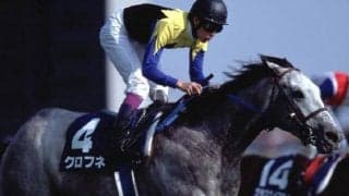 クロフネが死亡　NHKマイルC、ジャパンカップダートの芝・ダート両GI制覇