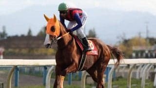 【地方競馬】金沢年度代表馬はハクサンアマゾネス、優秀騎手は藤田弘治騎手