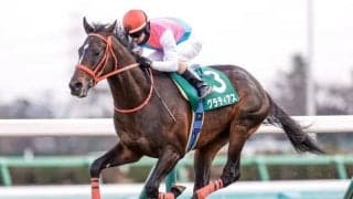 【京成杯】売上は45億3057万6300円で昨年から減少　レシステンシアの半弟グラティアスが重賞初V