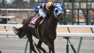 【日経新春杯】売上は63億0988万8900円で昨年から増加　団野大成騎手＆ショウリュウイクゾが重賞初制覇