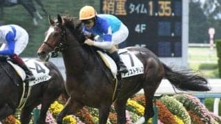 【AJCC見どころ】アリストテレスら明け4歳馬が人気の中心