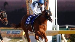 【東海S予想オッズ】武豊騎手を予定のインティが人気の中心に