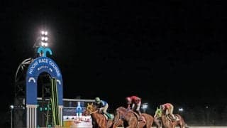 売り上げV字回復を見せた高知競馬　“廃止の危機”から現在は地域に貢献