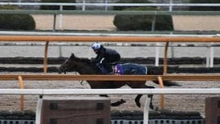 ラウダシオン、シルクロードS1週前追い切り速報/栗東トレセンニュース