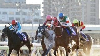 【TCK女王盃】末脚鮮やか！マルシュロレーヌが差し切り！