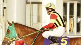 【TCK女王盃】森泰斗「伸びきれなかった」マドラスチェックは伸びきれず4着敗退