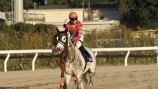 【TCK女王盃】松山「よく頑張ってくれた」レーヌブランシュは2着