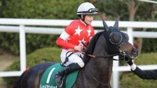 【次走】レッドアンシェルは高松宮記念へ　昨年のサマースプリント王者