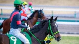 【JRA】ウラヌスチャームが引退、繁殖入り　愛知杯3着がラストランに