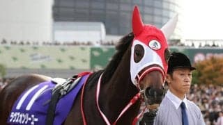 【JRA】ラヴズオンリーユー、京都記念後はドバイか香港遠征を視野に