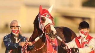 【TCK女王盃 レース後コメント】マルシュロレーヌ川田将雅騎手「今年も良い内容で勝ち切っていきたい」