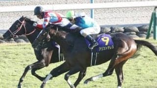 アメリカJCCは、今後の成長が期待される「良血４歳馬」３頭が争う