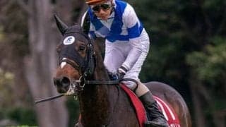 明け４歳馬たちの躍進が期待されるAJCC。穴はいかにも条件合う５歳馬