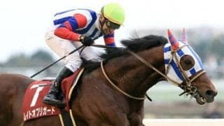 穴党記者が東海Ｓの攻略に自信。好配当が見込めるヒモ穴４頭をズバリ