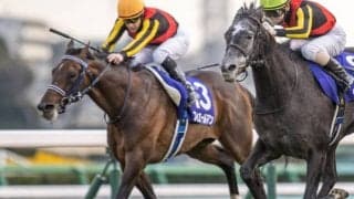 【競馬ファンが選ぶ最優秀4歳以上牡馬】天皇賞・春連覇のフィエールマンが首位/netkeiba大賞 最終結果発表