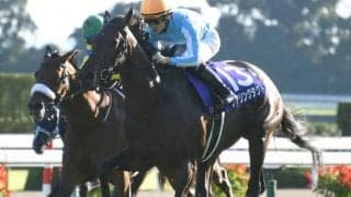 【競馬ファンが選ぶ最優秀3歳牝馬】無敗の牝馬三冠デアリングタクトが圧倒的首位/netkeiba大賞 最終結果発表