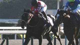【競馬ファンが選ぶ最優秀3歳牡馬】無敗三冠のコントレイルが圧倒的な得票率でトップ/netkeiba大賞 最終結果発表