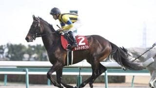 【AJCC予想】 世代間比較で明らかになった回収率の差！ 狙うべきは人気になりそうな4歳馬より5歳馬＆6歳馬!?/JRAレース展望