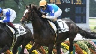 【AJCC予想オッズ】菊花賞2着アリストテレスが人気の中心