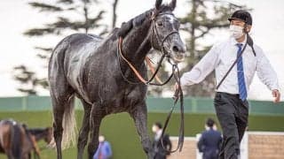 クロノジェネシスがドバイSCとドバイターフに登録、出否は未定