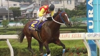 ノブワイルド、引退・種牡馬入り！ 小久保智調教師「芯が強くて本当にすごい仔」