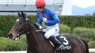 【JRA】昨年のマーメイドS覇者サマーセントが引退、繁殖入り