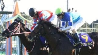 【JRA】AJCCの前日発売が中止、降雪の影響が予想されるため　東海Sは通常通り実施