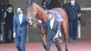 【次走】カフェファラオはフェブラリーSへ、鞍上はC.ルメール騎手