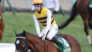 【シルクロードS想定】高松宮記念覇者モズスーパーフレア、セイウンコウセイなど23頭