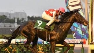 「普通の２歳馬とはモノが違った」ステラヴェローチェの大いなる可能性