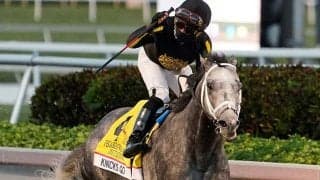 総賞金3億円超ペガサスWC、韓国馬事会所有馬が圧勝　BCダートマイルに続きG1連勝