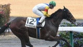 【中京3R新馬戦結果】ウルトラソニックが人気に応えて快勝