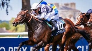 【海外競馬】スタディオブマンの初年度産駒誕生　ディープインパクト産駒の仏ダービー馬