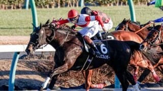 【本日の注目ポイント】中山でAJCC、中京で東海S