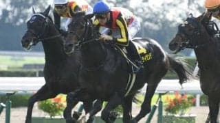 【AJCC予想】世代屈指の実力馬ヴェルトライゼンデに期待