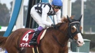 【東海S予想】得意舞台のインティに久々の重賞Vを期待