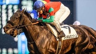 【中山12R・4歳上1勝】芝2200mで勝ち時計は2分20秒3　AJCCと同コース、重馬場で異例の時計