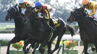 【AJCC予想】 上位人気も決して安泰とはいえない摩訶不思議なレース!? 攻略するうえで重視すべきポイントとは？/JRAレース展望