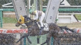 【JRA】日曜の中山競馬全レースとWIN5の夜間・早朝発売を見合わせ、降雪による影響が予想されるため