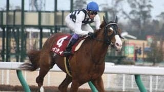 【東海S前日オッズ】インティが2.3倍で1番人気