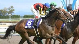 【競馬ファンが選ぶ最優秀スプリンター】グランアレグリアがダントツの票差で1位/netkeiba大賞 最終結果発表