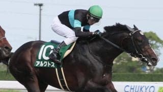 【根岸S登録馬】アルクトスなど26頭が登録