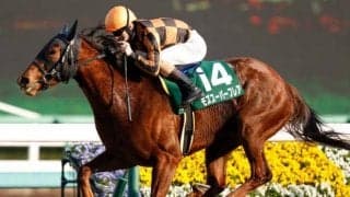 今週末から東京開催！ GI前哨戦の根岸SとシルクロードSに注目/今週の競馬界の見どころ