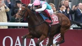 【競馬ファンが選ぶ最優秀外国馬】キングジョージ3勝目のエネイブルが1位に/netkeiba大賞 最終結果発表