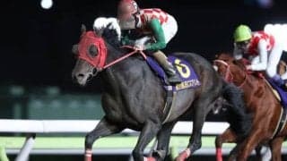 【競馬ファンが選ぶ最優秀地方馬】JBCスプリント覇者サブノジュニアが最多得票/netkeiba大賞 最終結果発表