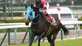 【競馬ファンが選ぶ最優秀障害馬】中山グランドジャンプVのオジュウチョウサンがトップに/netkeiba大賞 最終結果発表